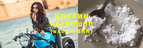шишки Зуевка