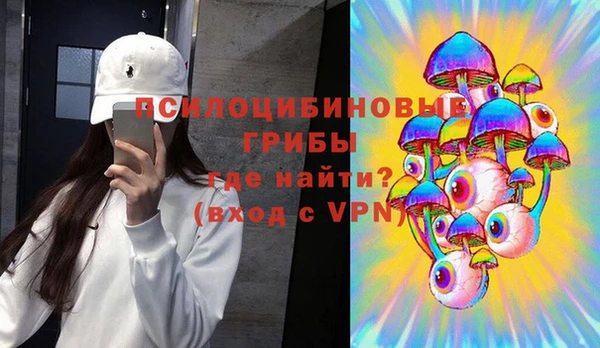 стафф Вяземский