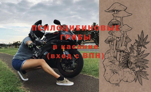 стафф Вяземский