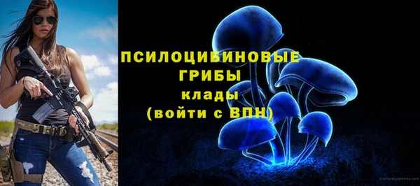 шишки Зуевка